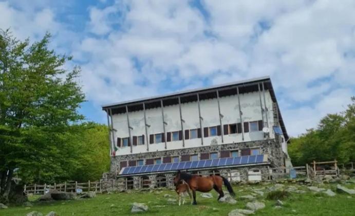 فيلا La Casa Di Amelia Borzonasca المظهر الخارجي الصورة